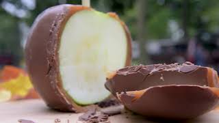 The Fort Wayne S'more | Visit Fort Wayne, Indiana this Fall