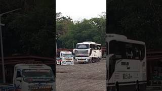 Download lagu duet telolet basuri v4 bus tunggal jaya kids panda dan traga ditdim mp3