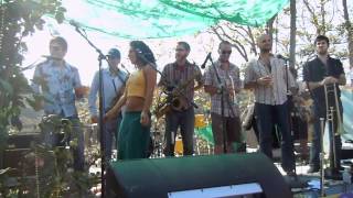 Orkestar MEZE @ Topanga Earth Day Festival Topanga CA 4-23-11