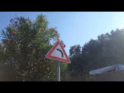 🚗🏝️ Exploring Ischia: Italy's Hidden Gem Awaits! Discover Ischia's Secrets 🇮🇹🌄 #italy #ischia