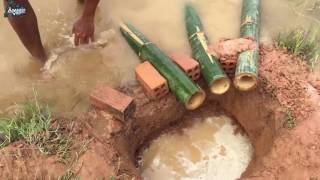 Download lagu Begini cara membuat Perangkap belut dari bambu mp3 Download lagu Begini cara membuat Perangkap belut dari bambu mp3