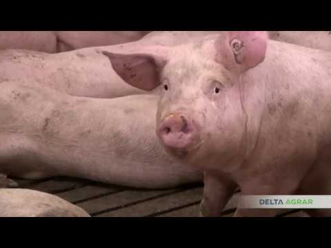 Delta Agrar stočarstvo-Ovo je naša priča 2018