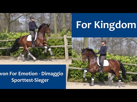FOR KINGDOM v. For Emotion - Dimaggio