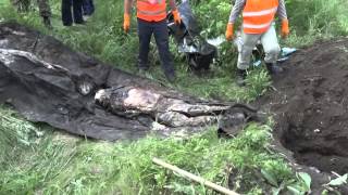Эксгумация ВСУ/ The exhumation of the Ukrainian soldiers 02.05.2015