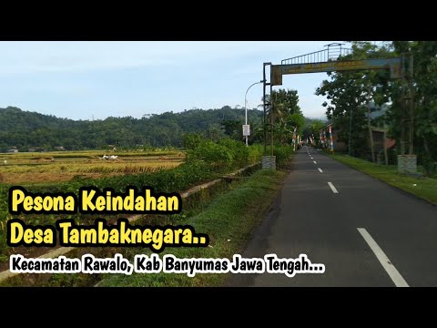 Pesona Keindahan Desa Tambaknegara, Kecamatan Rawalo Kab Banyumas Jawa Tengah