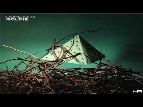 FABRICLIVE. 58 - Goldie (2011) [Continuous Mix]