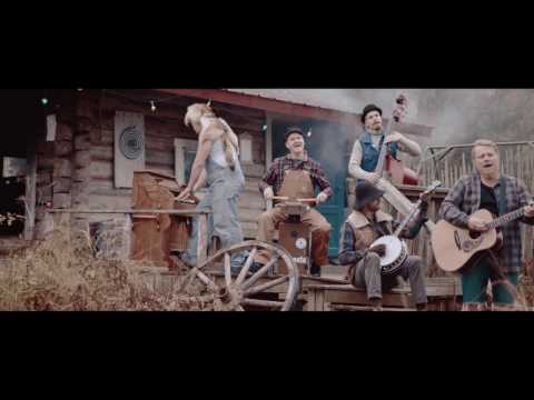 STEVE´N´SEAGULLS - NOVEMBER RAIN