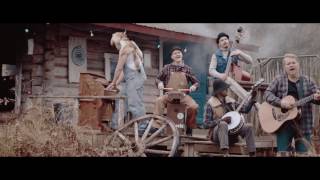 Steve ’n’ Seagulls Acordes