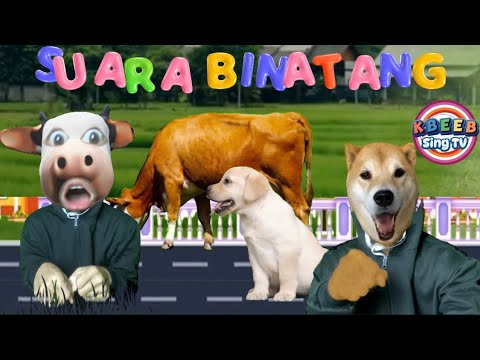 SUARA BINATANG Lagu Lucu untuk anak