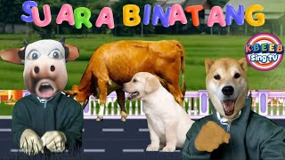 Download lagu SUARA BINATANG Lagu Lucu untuk anak mp3