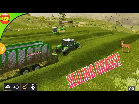 Making Straw Bales and Selling Grass! Animals Farm FS20