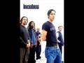 Incubus Pantomime 