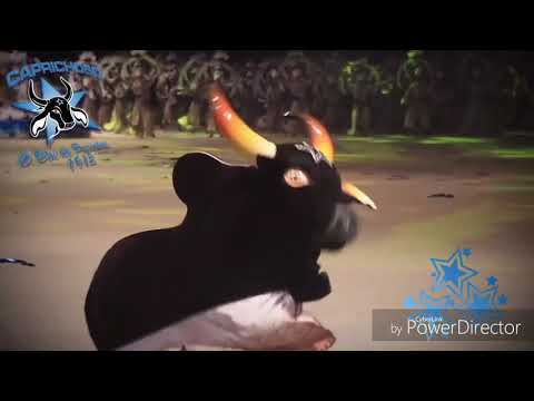 💙Demo Caprichoso 2019🐃