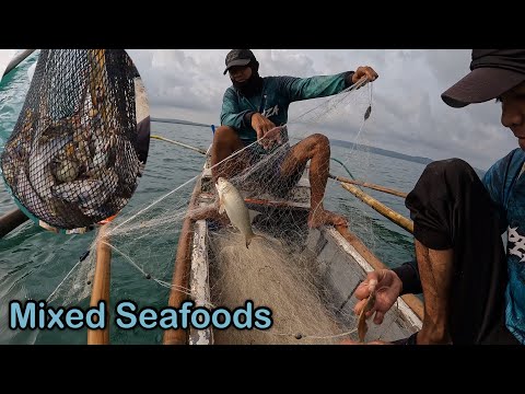 PAGBATAK NG LAMBAT ( ang pagbabalik ) | IMPERANZA