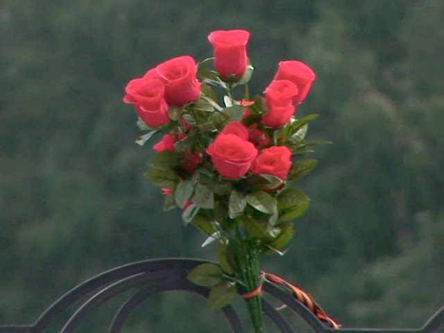 ДТП со смертельным исходом