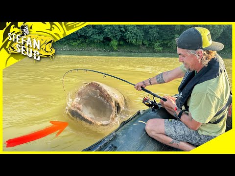 I catch Godzilla | A primal catfish monster from the WILD RIVER 😱
