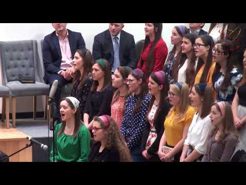 Orchestra si Tinerii  - Iehova Elohim (Cânt Aleluia, cânt Aleluia)