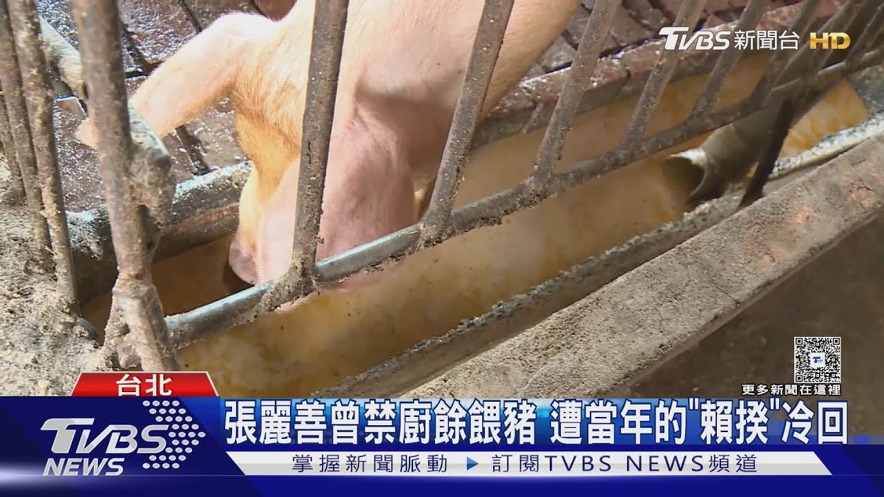 互抓戰犯! 綠營控藍白大刪60%媒宣費釀破口