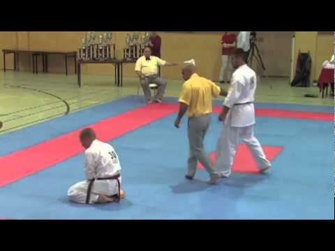 Wieckowski vs. Nikolov - VIENNA OPEN - Erstes offenes internationales Kyokushin-Kan Karate Turnier