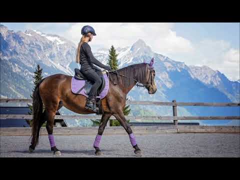 Saddle Up & Dance - Ryan Stasik, Kanika Moore