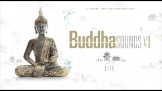 Buddha Sounds Vol. 7 