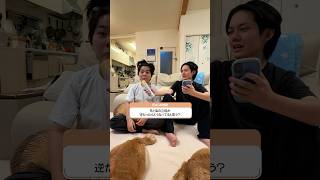 弟 vs 兄、価値観の違いが面白すぎる #兄弟 #対決 #brother4