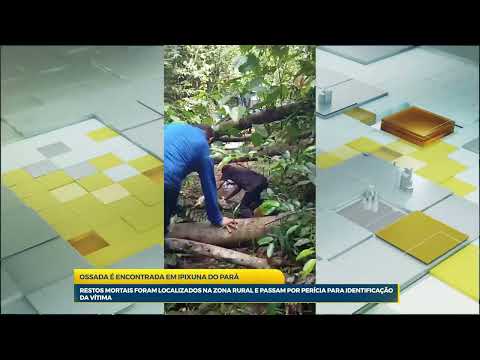 Ossada humana é encontrada na zona rural de Ipixuna do Pará; perícia fará identificação