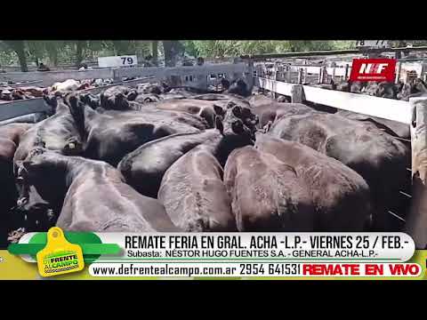 25-02-22 - Remate de Nestor Hugo Fuentes S.A. - Gral.  Acha, La Pampa