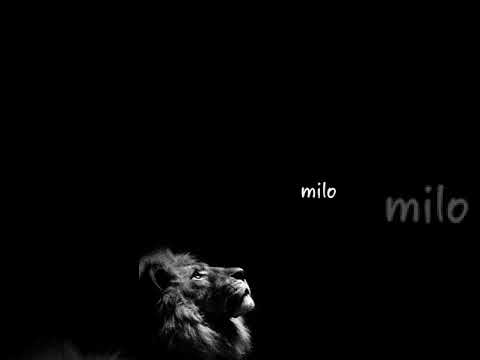 Ай-Q       Сейчас или никогда