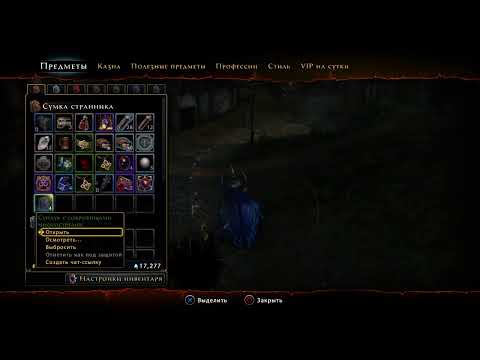 Neverwinter Паладин