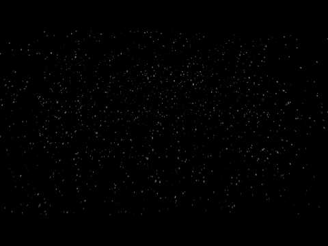 Snow Falling   Royalty Free Footage