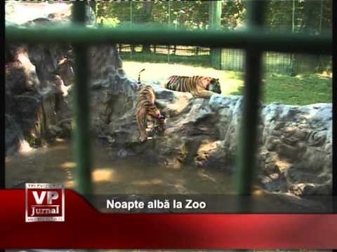 Noapte albă la Zoo