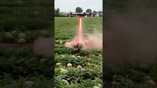 Drone to kill harmful pigs #villagelife#smartfarming #rurallife #farmingtraditions#farming101