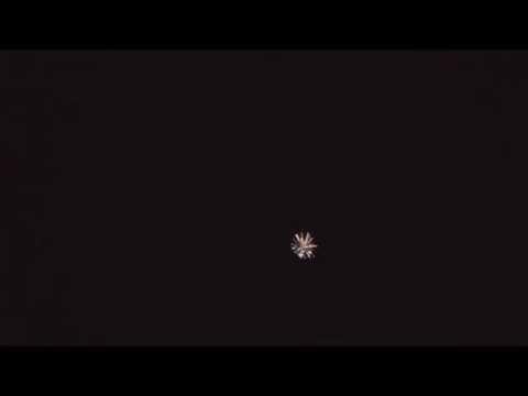 SCP20/100 - 100mm Silver Strobe Willow Shell