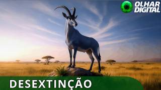 Miniatura do vídeo