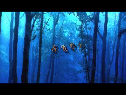 DJ VYBZ X YANDEL -  Encantadora   (Zouk R€mix 2017)