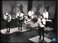 The Kingsmen - Louie, Louie (Shindig 1965) 