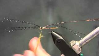 TCO FLY TYING - Morrish's Iron Sally - Gavin Robinson