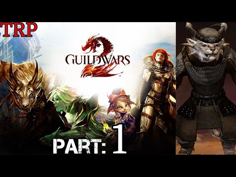Guild Wars 2:  Walkthrough - Gameplay | Part 1 | INTRO | Char Warrior | PC
