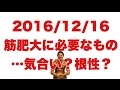 ボディビル初出場までの記録20161216【東京オープン】筋肥大に必要なもの…気合い?根性?