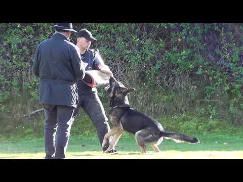 IÑAKI RUBIO C80 SELECTIVA MADRID 2018 REAL CEPPA