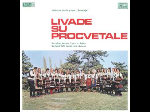 Grupa Sumadija - Cuvah ovce tri godine - (Audio)