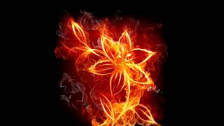 Candido - candido's funk