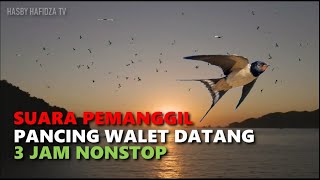 Download lagu SUARA PEMANGGIL PANCING WALET DATANG NO COPYRIGHT mp3