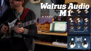 Walrus M1: No Talking STEREO Demo: High Fidelity Modulation Machine