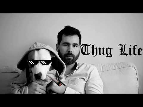 Tipos de donos de cães