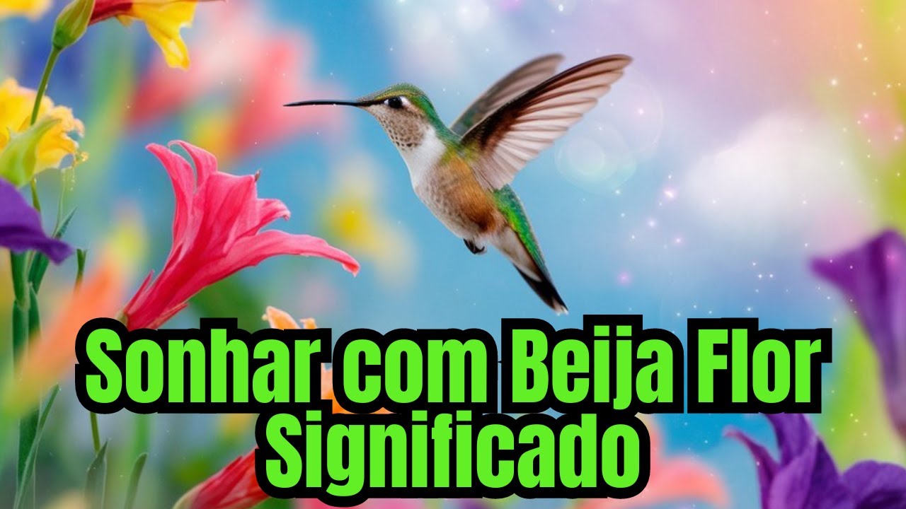 Sonhar Com Beija Flor Significado: Pode Ser Um Presságio? Descubra Agora!