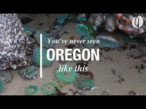 Super low tides allow beachgoers to walk all the way around Haystack Rock