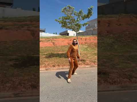 Quando o CACHORRO vê outro na rua