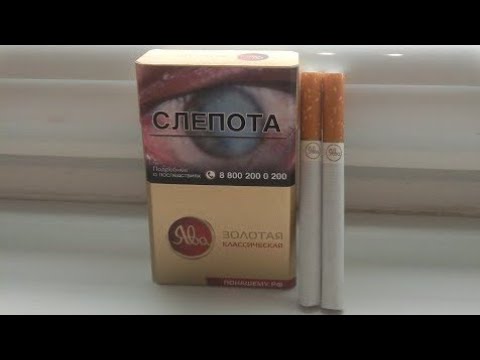 Ява Золотая Классическая Купить В Москве